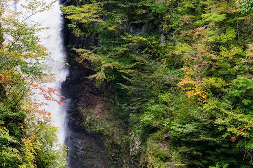 秋の秋保大滝⑶ 秋の秋保大滝⑶ 滝,秋保大滝,名瀑の写真素材