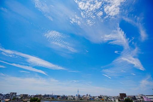 Photo, blue sky, midsummer, sky tree, 