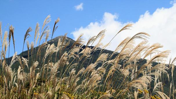 編笠山を背景に高原のススキ 編笠山を背景に高原のススキの写真