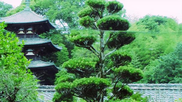 Photo, ma temple, temple, nikamiyama, 