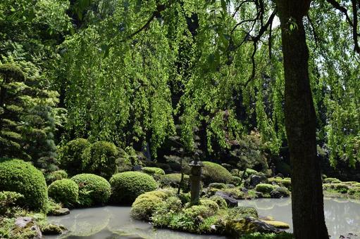 日本庭園 山形県鶴岡市 玉川寺庭園 日本庭園 山形県鶴岡市 玉川寺庭園 日本の庭園,玉川寺庭園,玉川寺の写真素材