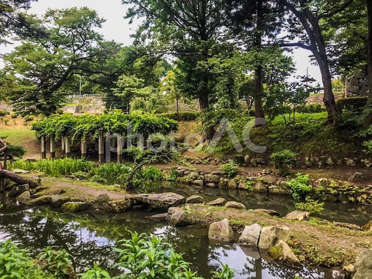 【岩手県】盛岡城跡公園 盛岡城跡公園,盛岡市,岩手公園の写真素材