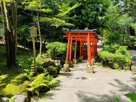 金澤神社 慶賀鳥居 金澤神社 慶賀鳥居の写真