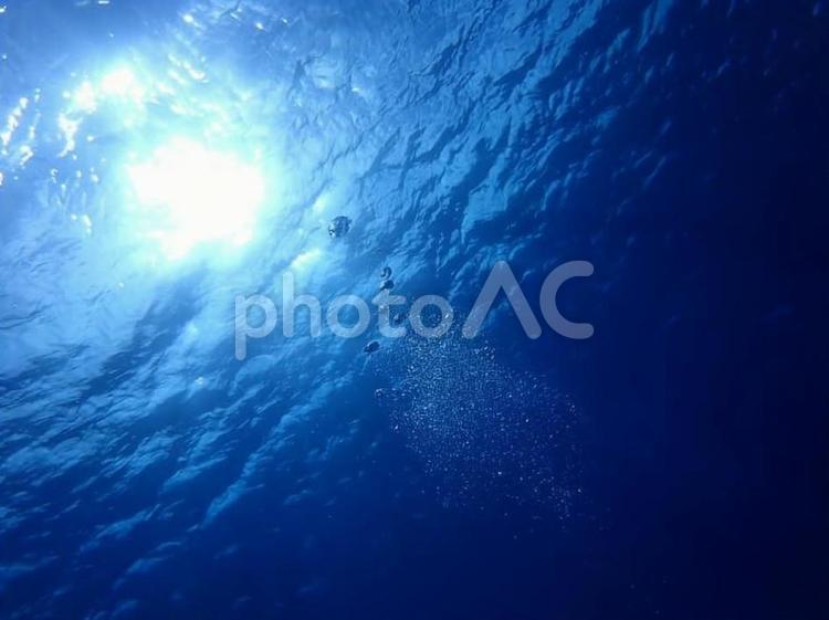 海底から見た風景 海,水中,太陽の写真素材