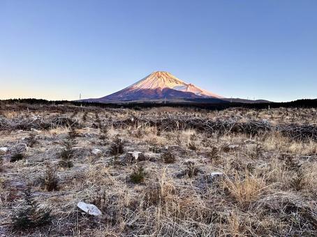 静かな朝の富士山 静かな朝の富士山 富士山,朝,自然の写真素材