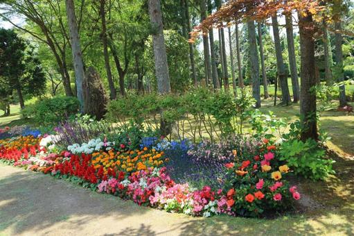 お花畑 お花畑の写真