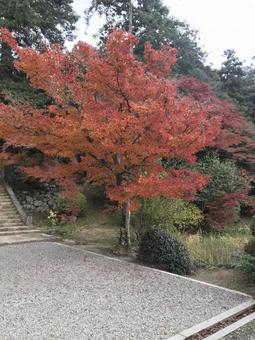 ある秋の日 ある秋の日の写真