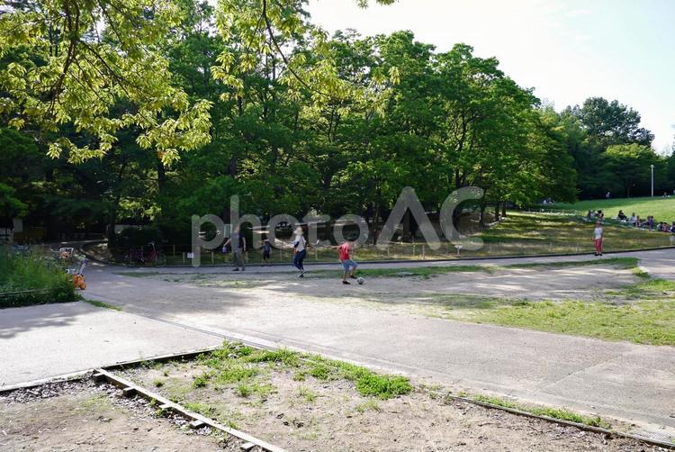 夏の公園風景 公園風景,夏,初夏の写真素材
