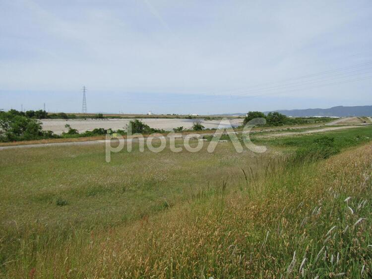 初夏　加賀から見た手取川の風景 初夏,手取川,風景の写真素材