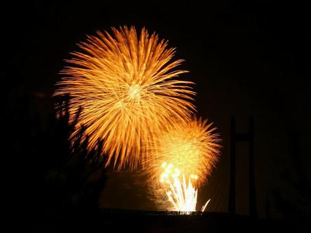 日本の花火 日本の花火の写真