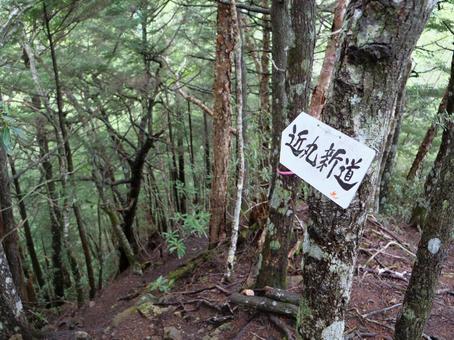 甲武信ヶ岳 近丸新道 甲武信ヶ岳 近丸新道の写真