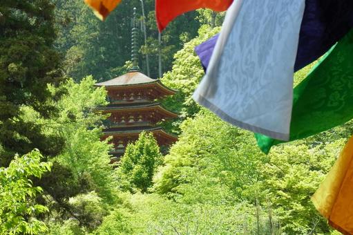 長谷寺 五重塔 五色幕 新緑 長谷寺 五重塔 五色幕 新緑の写真
