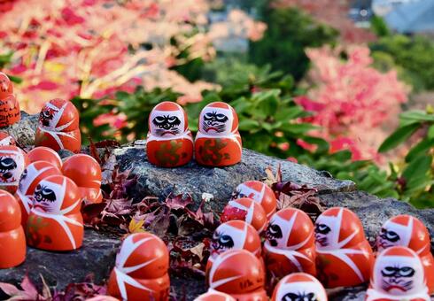 大阪 北摂 勝尾寺の勝ちダルマ ダルマ,勝尾寺,勝ちダルマの写真素材