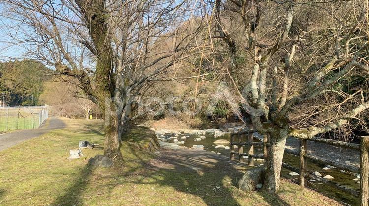 犬鳴川の自然豊かな風景 犬鳴川,川,自然の写真素材