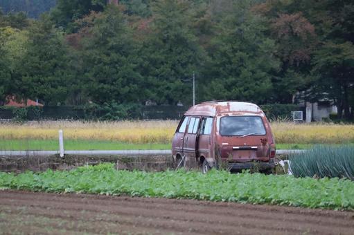 朽ちる廃車 廃車,車,自動車の写真素材