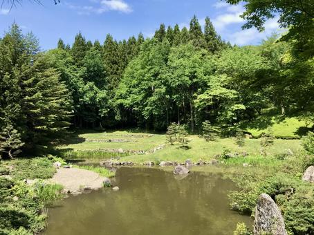 森の中の川と芝生 森の中の川と芝生 森,森林,自然の写真素材