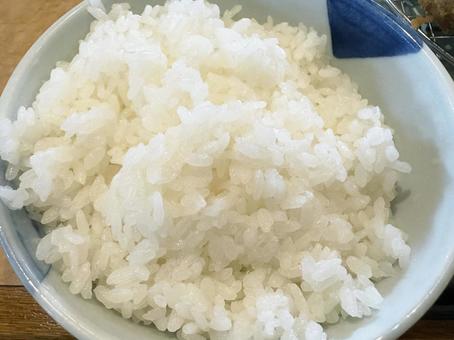 ごはん ごはんの写真