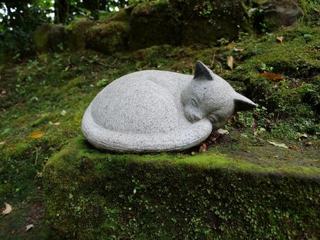 仙巌園 猫神社 仙巌園 猫神社 猫神社,鹿児島県,鹿児島市の写真素材