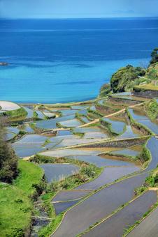 浜野浦の棚田 浜野浦の棚田 棚田,浜野浦,玄海町の写真素材