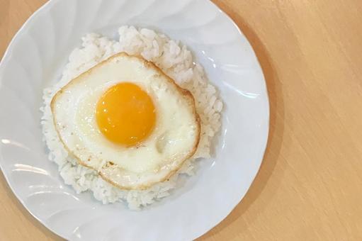 ごはんと目玉焼き ごはん,目玉焼き,食器の写真素材