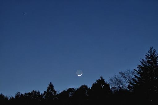 月と樹木 月と樹木 月,樹木,月没の写真素材