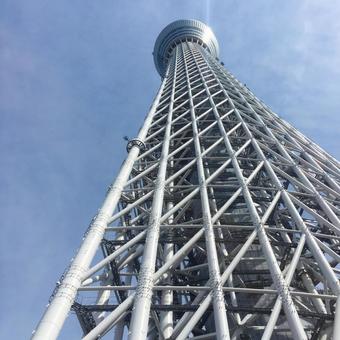 東京スカイツリー 東京スカイツリーの写真