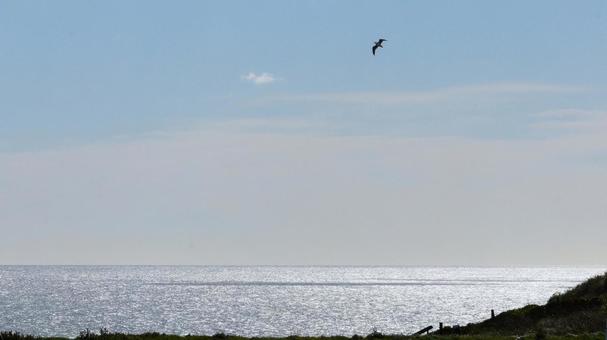 煌めく海岸 海,空,風景の写真素材