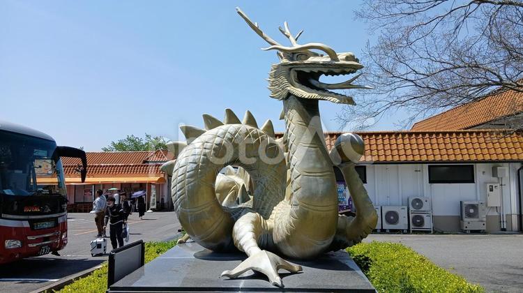ドラゴン 休日,晴れ,竜の写真素材