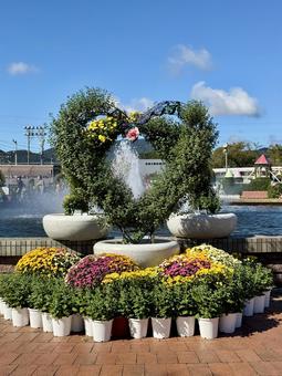 秋の武生中央公園 秋の武生中央公園 モニュメント,菊人形,菊祭の写真素材