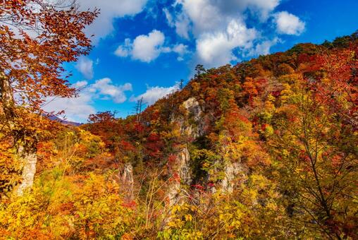 秋の色に染まった渓谷 秋,紅葉,渓谷の写真素材