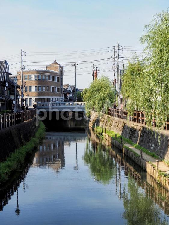 小江戸佐原の街並み・河畔の柳並木・香取市 佐原,小江戸,レトロの写真素材