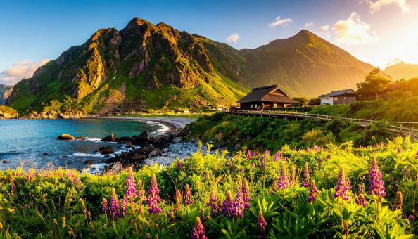 日本の田舎の風景 1の写真