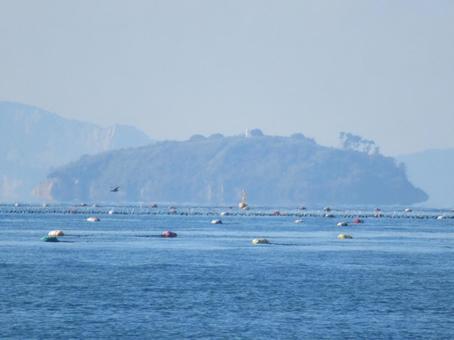 海の景色 海,瀬戸内海,風景の写真素材