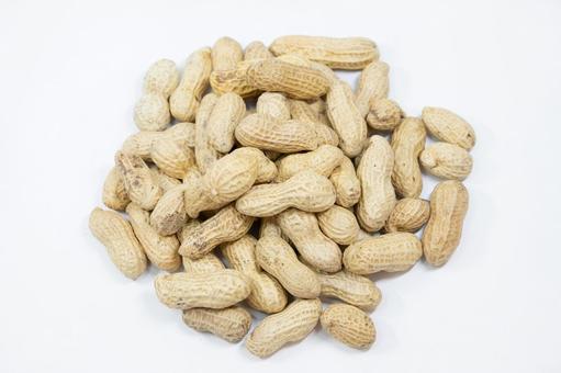 落花生 落花生,ピーナッツ,おつまみの写真素材