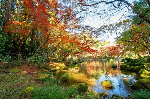 成田山の紅葉 成田山の紅葉 成田山,紅葉,黄葉の写真素材