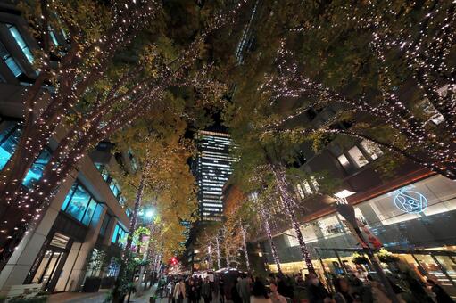 丸の内仲通りのイルミネーション 丸の内,仲通り,イルミネーションの写真素材