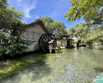 水車小屋と清流の風景 安曇野,わさび農園,長野の写真素材