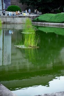 Photo, taitung district, ueno, tokyo national museum, 