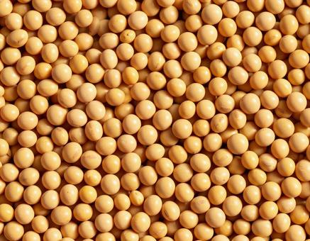 大豆のナチュラル背景 大豆のナチュラル背景の写真