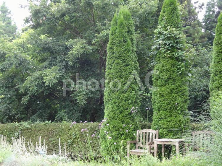 ベンチのある風景５ ベンチ,木製,ガーデンの写真素材