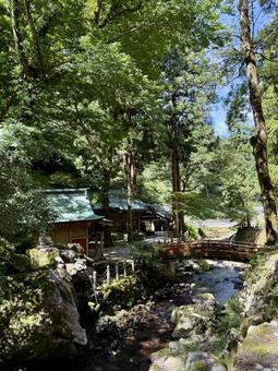 2025年夏の永平寺 2025年夏の永平寺 石灯篭,木陰,参道の写真素材