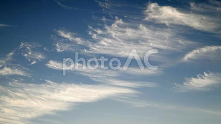 秋の空に浮かぶ巻雲たち 雲,空,巻雲の写真素材
