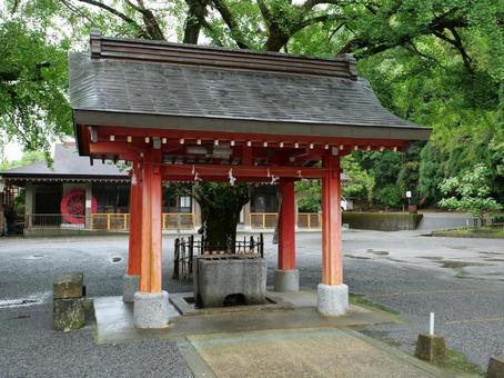 知覧 豊玉姫神社 手水舎 知覧 豊玉姫神社 手水舎の写真