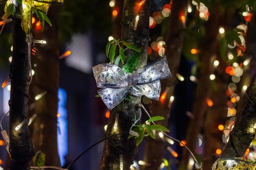 クリスマスのイルミネーション クリスマス,イルミネーション,ライトアックの写真素材