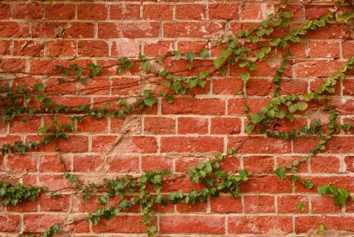 赤レンガの壁6 赤レンガ,背景,レンガの写真素材