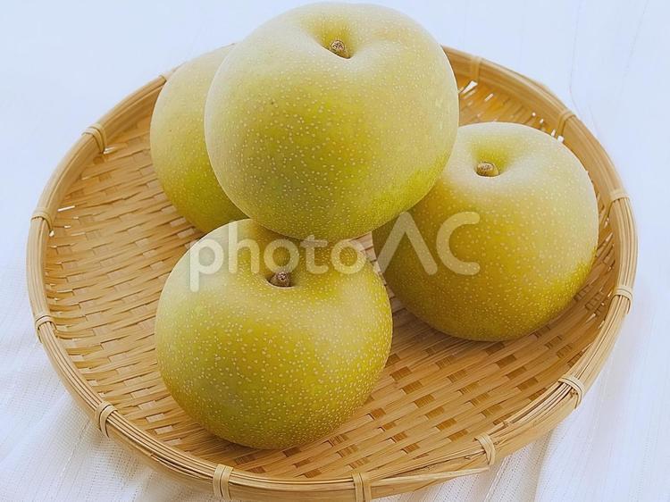 秋のフルーツ（梨） 梨,ナシ,秋の写真素材