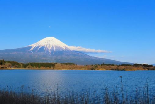 世界に誇る美しい富士山 世界に誇る美しい富士山の写真