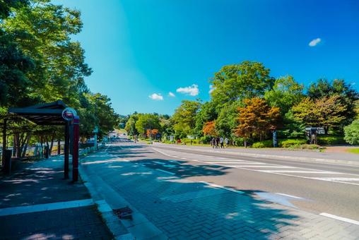 【宮城】仙台の風景 【宮城】仙台の風景 宮城,仙台,城跡の写真素材