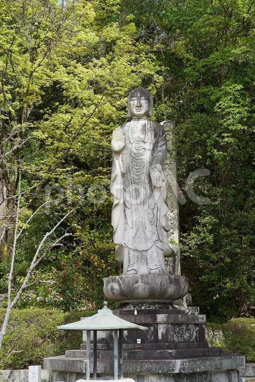 パワースポット宝塚市　中山寺㉟　地蔵尊 兵庫県,宝塚市,中山寺の写真素材