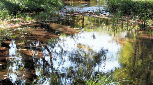 秋晴れの空を映すせせらぎ 秋,空,青空の写真素材